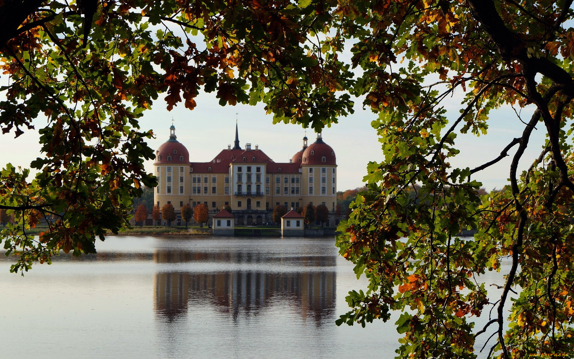 moritzburg castle, ,   , , moritzburg, castle